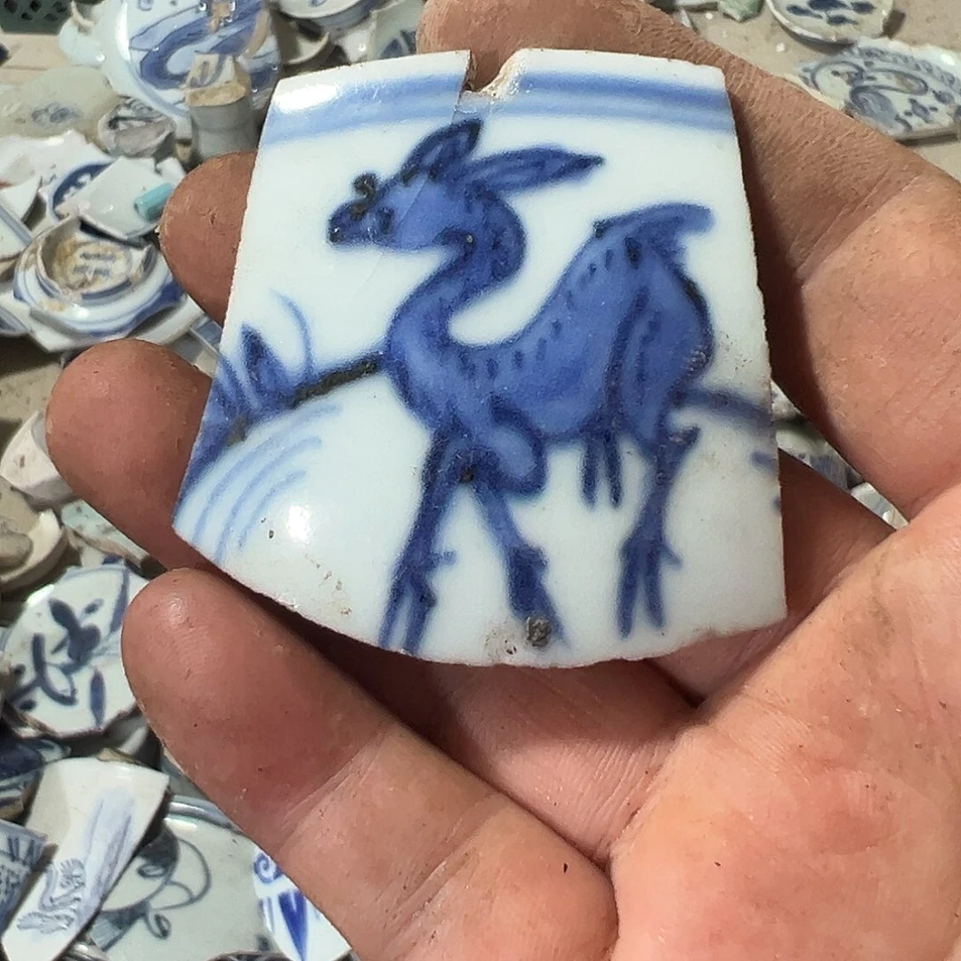 照***亮瓷片瓷片标本，全场包邮