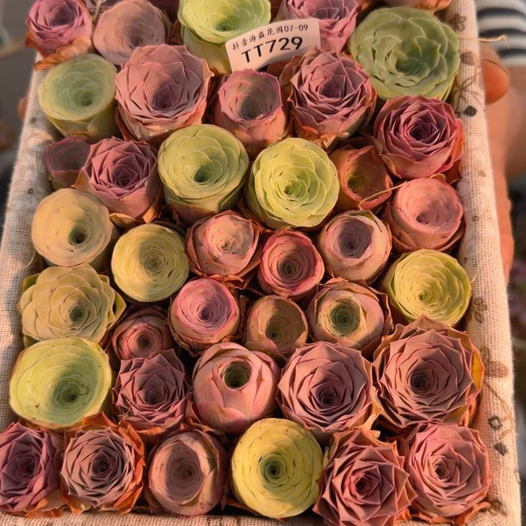 TT729 大号文艺花篮玫瑰组合