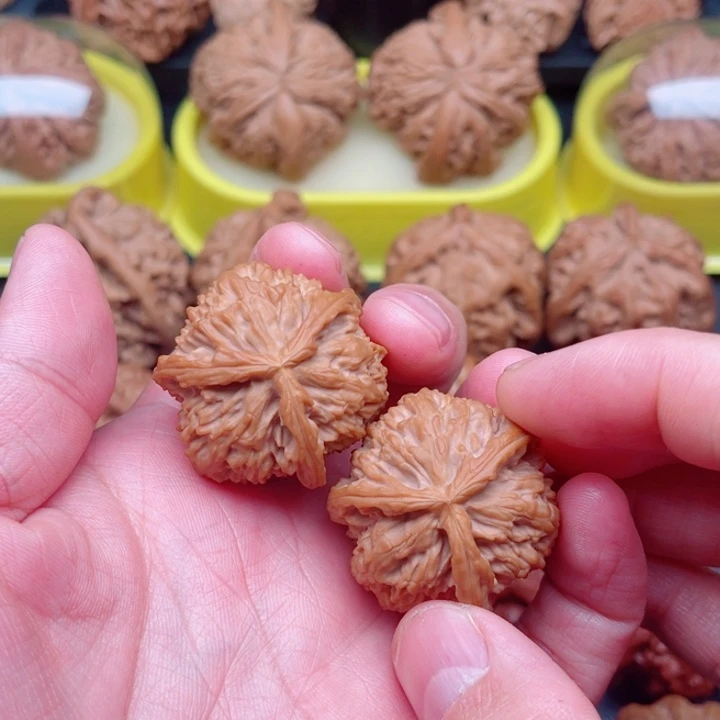 把件文玩核桃白狮子三棱35×34×34