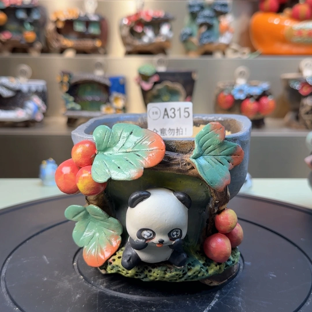A315 【闪购】多肉花盆