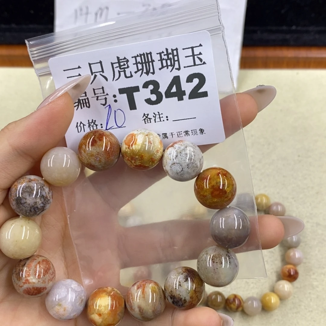 硅化珊瑚（珊瑚玉）q未镶嵌?****