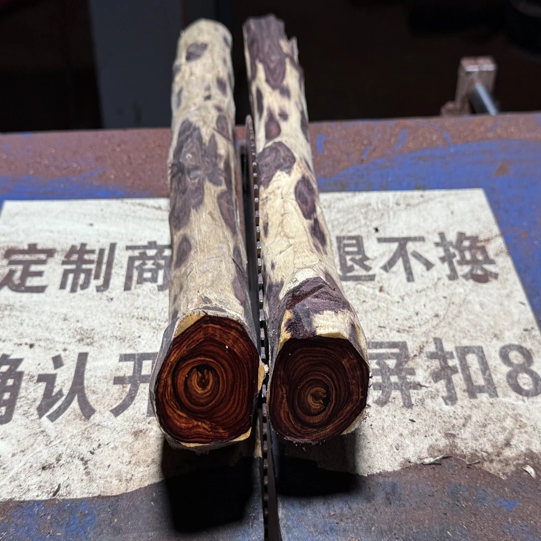 海岛料对眼鬼脸瘤疤蜘蛛定制