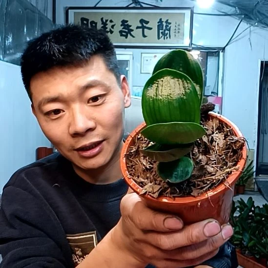 @渡迦若35一颗！！！！