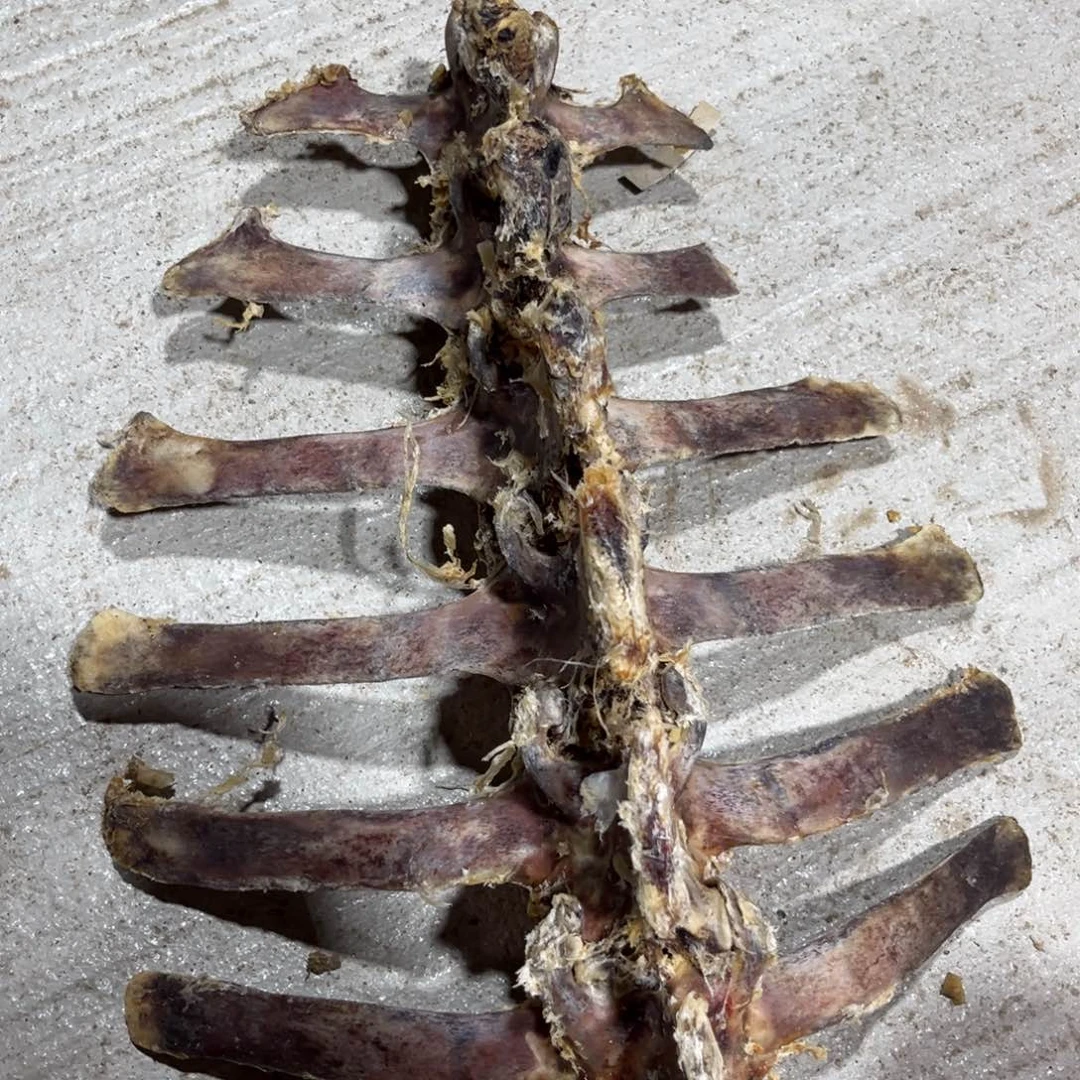 树脂手把件啊啊啊