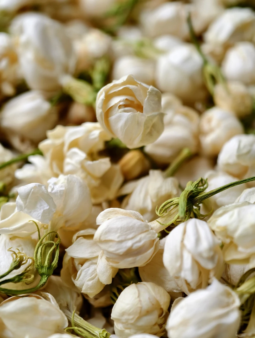 茉莉花冻干 茉莉雪球 可搭配金银花 桑葚 玫瑰花