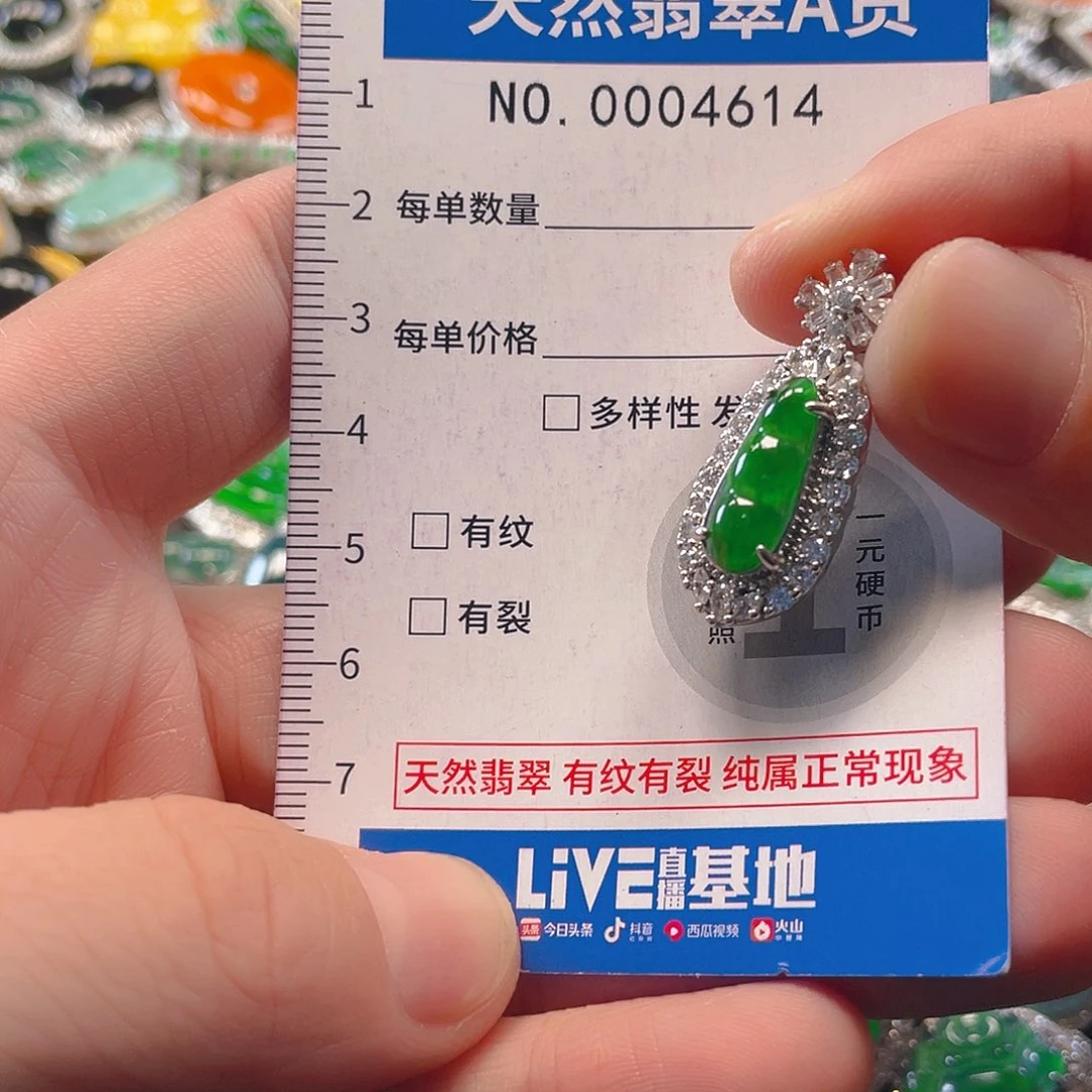 翡翠未镶嵌吊坠(不含链)