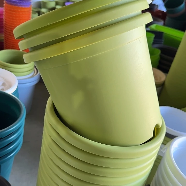 微瑕5#口径29果绿5个无托