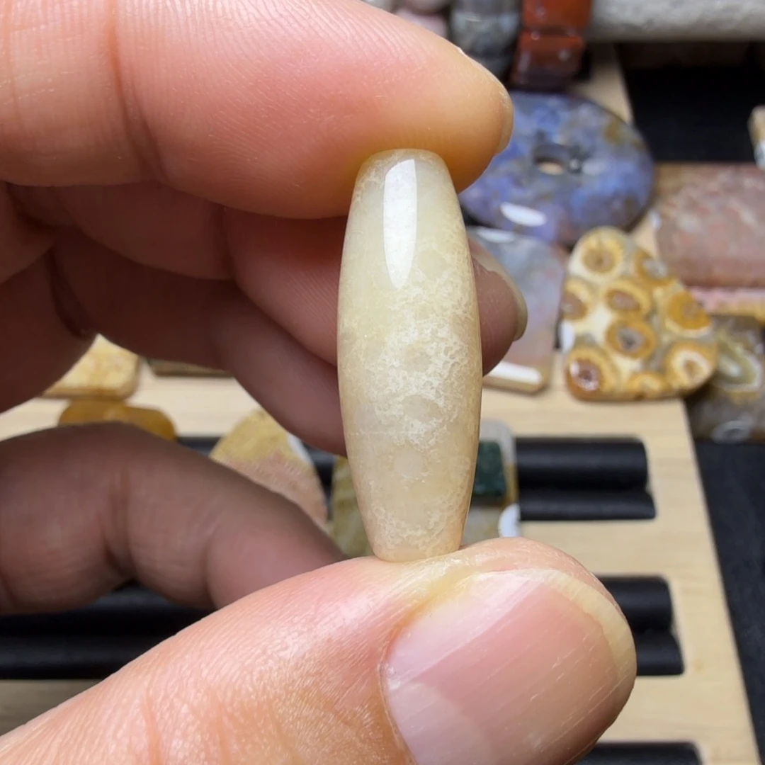 彩***鱼硅化玉未镶嵌纯天然色有机玉石保真色