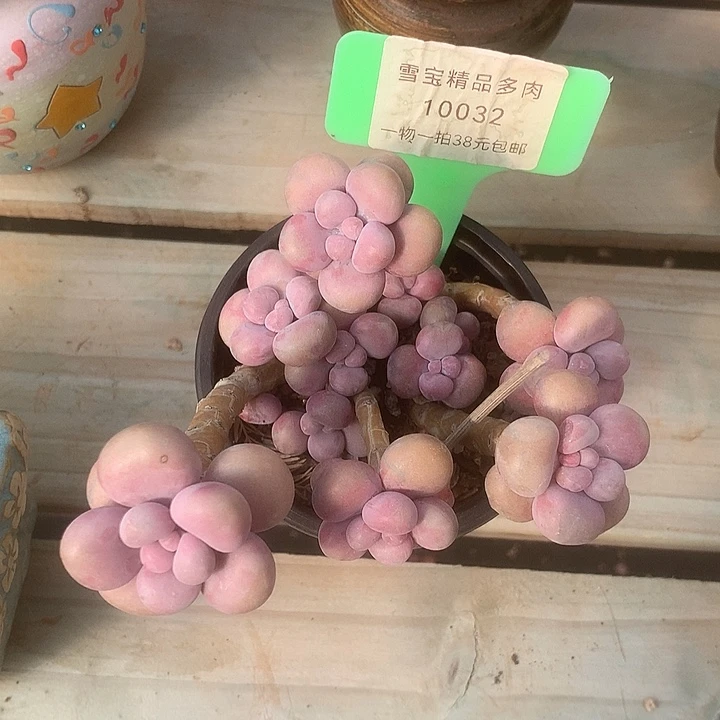 10032，哦提楼咯哦哦装修