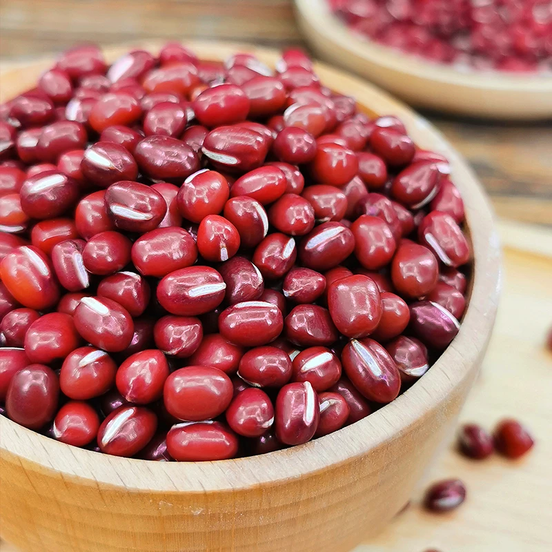 东北赤小豆五谷杂粮易出沙可煮粥煲汤