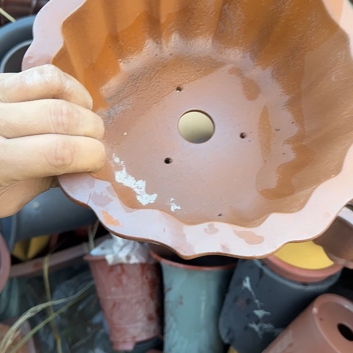 在一起时也不会像朋友这样相互包容彼此理解吧就这也