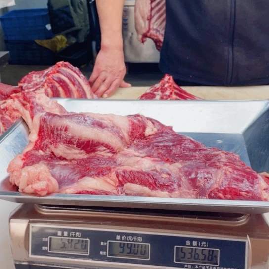 【闪购商品】冷冻保存30天包装河北省