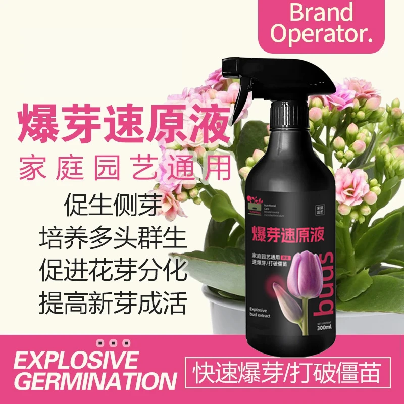 【爆芽速原液】多芽促芽催芽分化叶插花植物花卉绿植三角梅兰花通用