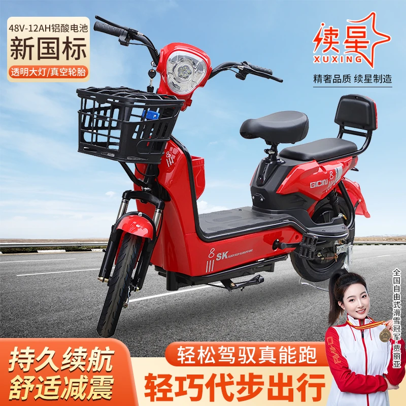 新国标长跑王长续航舒适骑行电动自行车重载王可上牌【金鹰】D