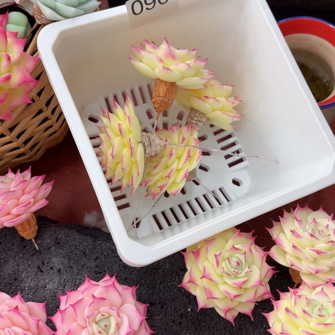 树脂制品096噢噢噢噢