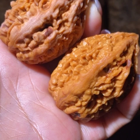 文玩核桃把件东北野生楸子小美04瑕疵