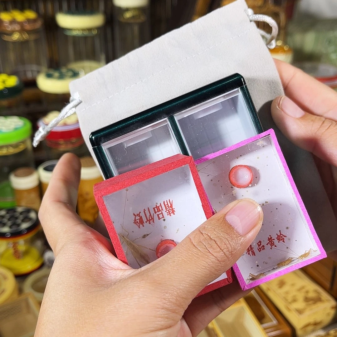 蟋蟀有机竹蛉盒+竹蛉+过虫器+布套