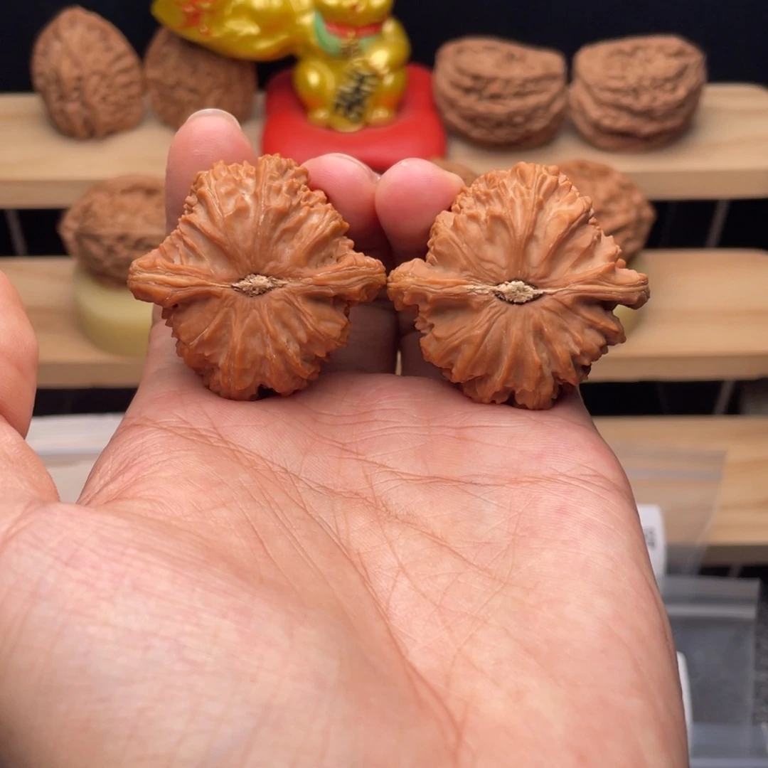 凯***炼把件文玩核桃42三角白（小黄尖）