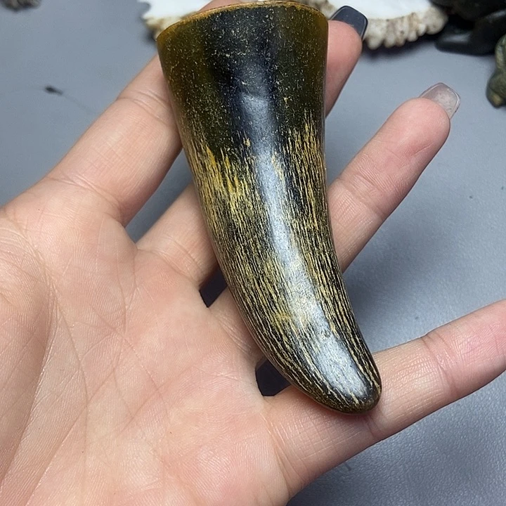大果紫檀（缅甸花梨）