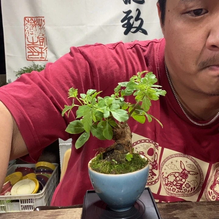 一物一拍所见即所得152