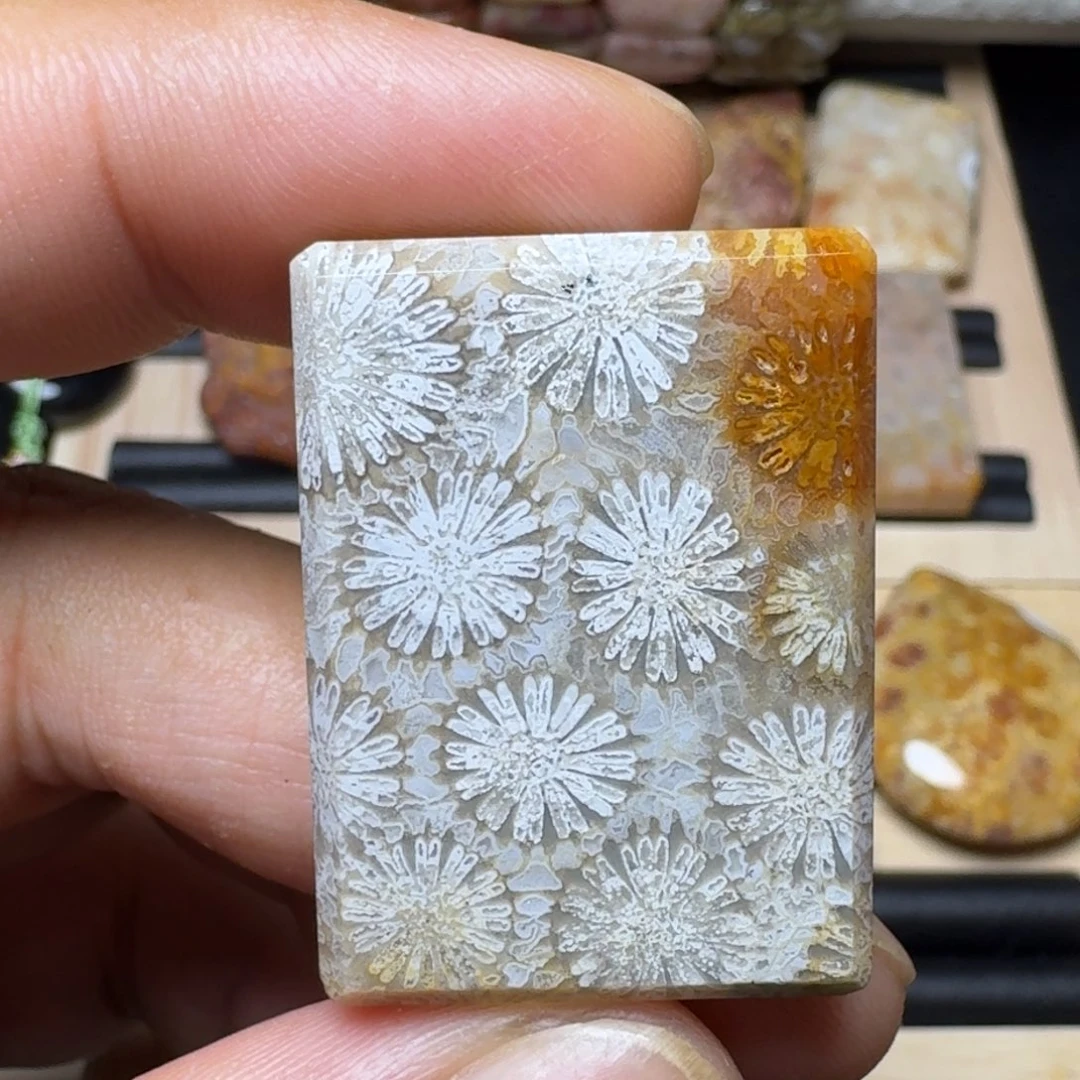 硅化玉纯天然色有机玉石保真色未镶嵌