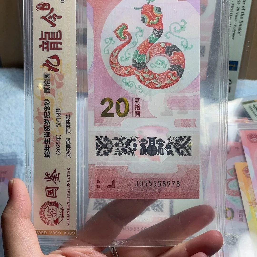 塑料九龙令05555尾8978福利福利