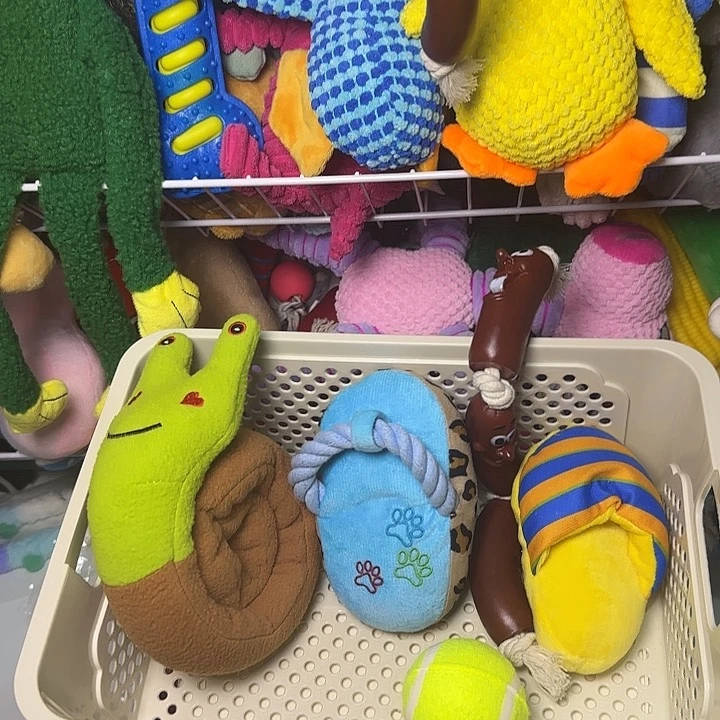 毛绒材质...框里的五款玩具