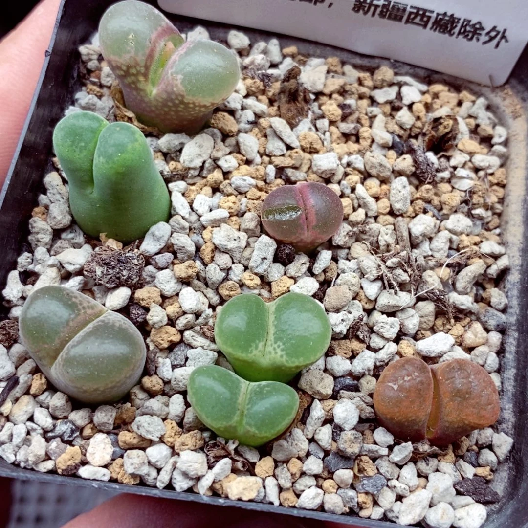 4948。