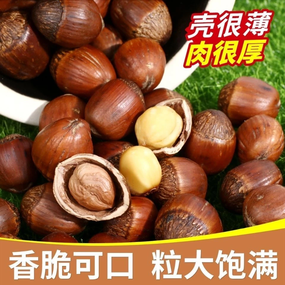 东北炒熟薄皮玉坠榛子嘎嘎香送夹子