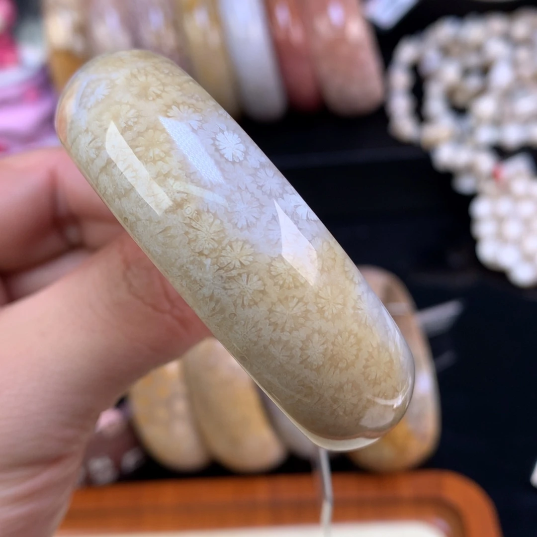 硅化珊瑚（珊瑚玉）未镶嵌颈饰68号星星雏菊53.8圈