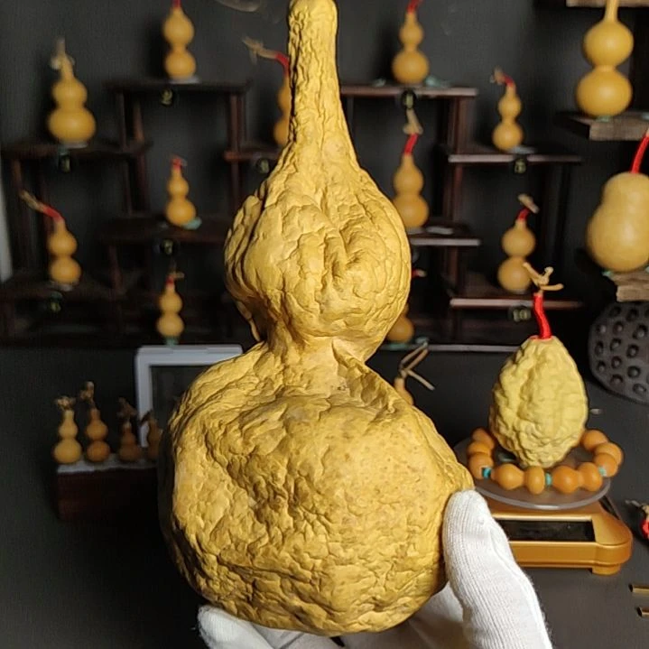 邋**王葫芦葫芦葫芦葫芦葫芦葫芦