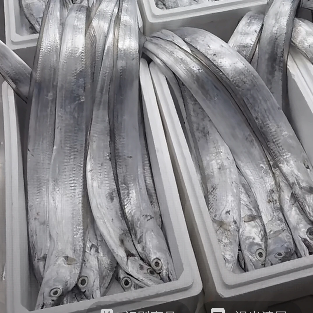 本地吊袋118（十二斤）