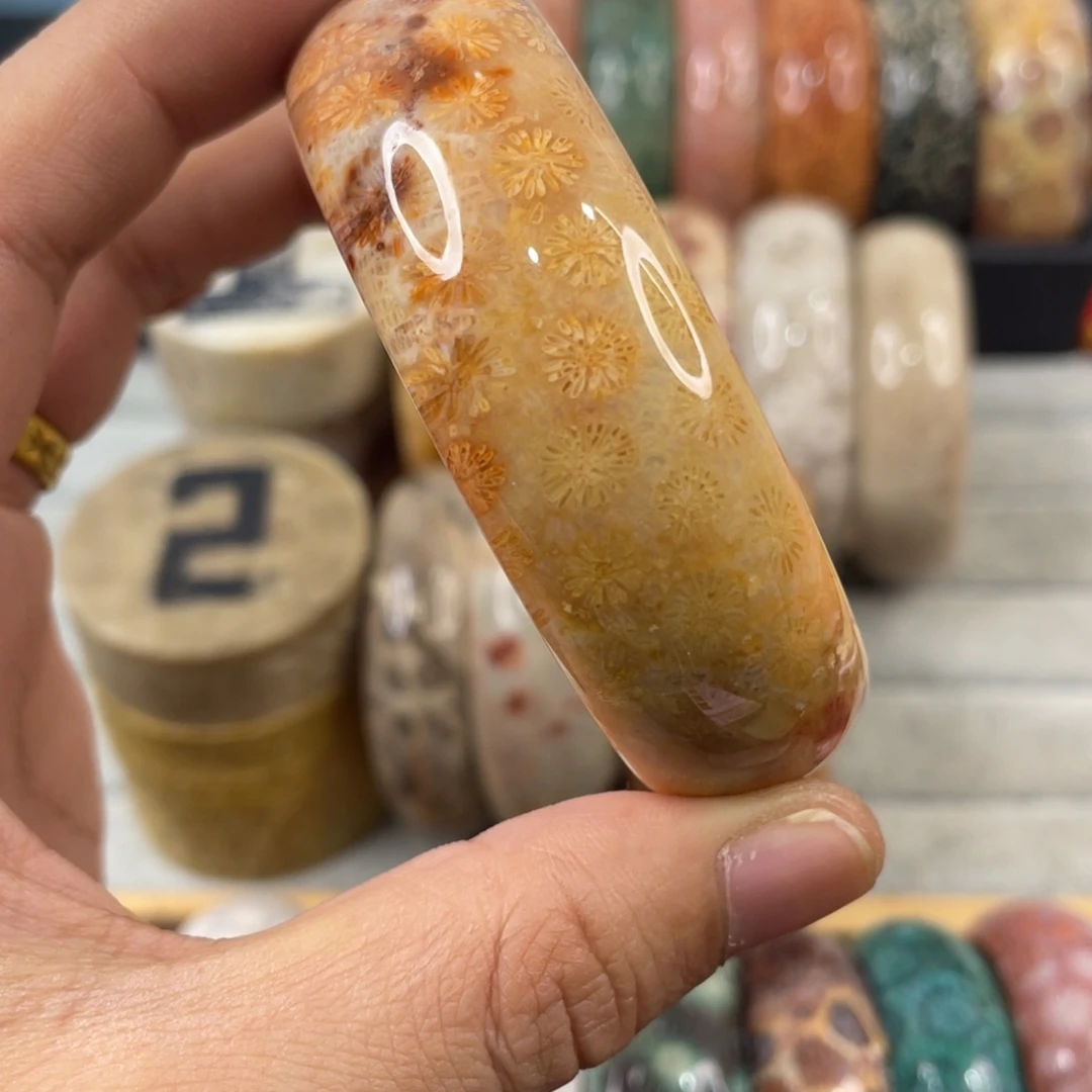 未镶嵌手镯硅化玉