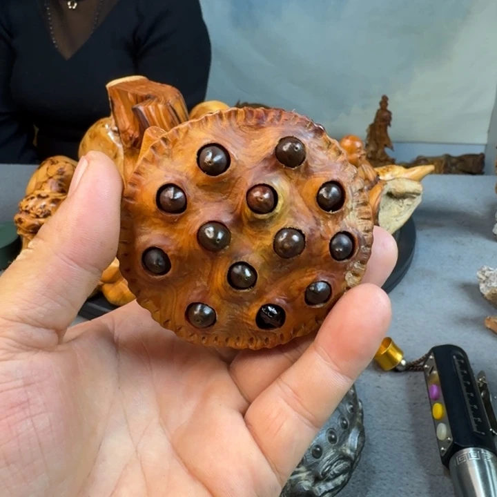 柏木（崖柏）太行崖柏