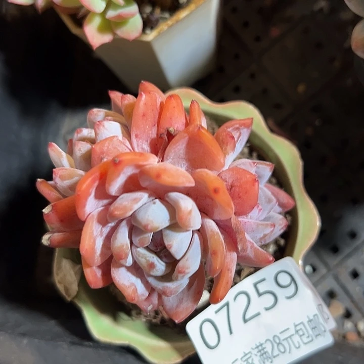 幸运的是我还没遇到