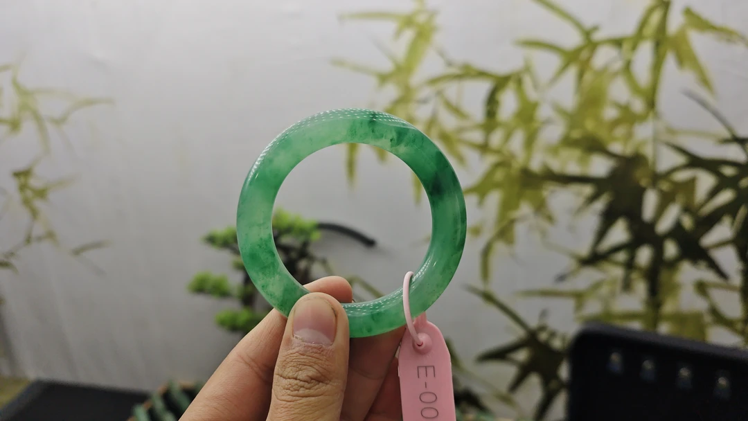 独龙玉非洲翠阳绿底高端气质55圈胖圆