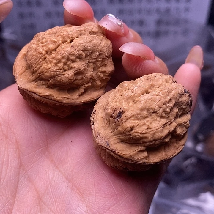核桃云南野生铁核桃19号36mm