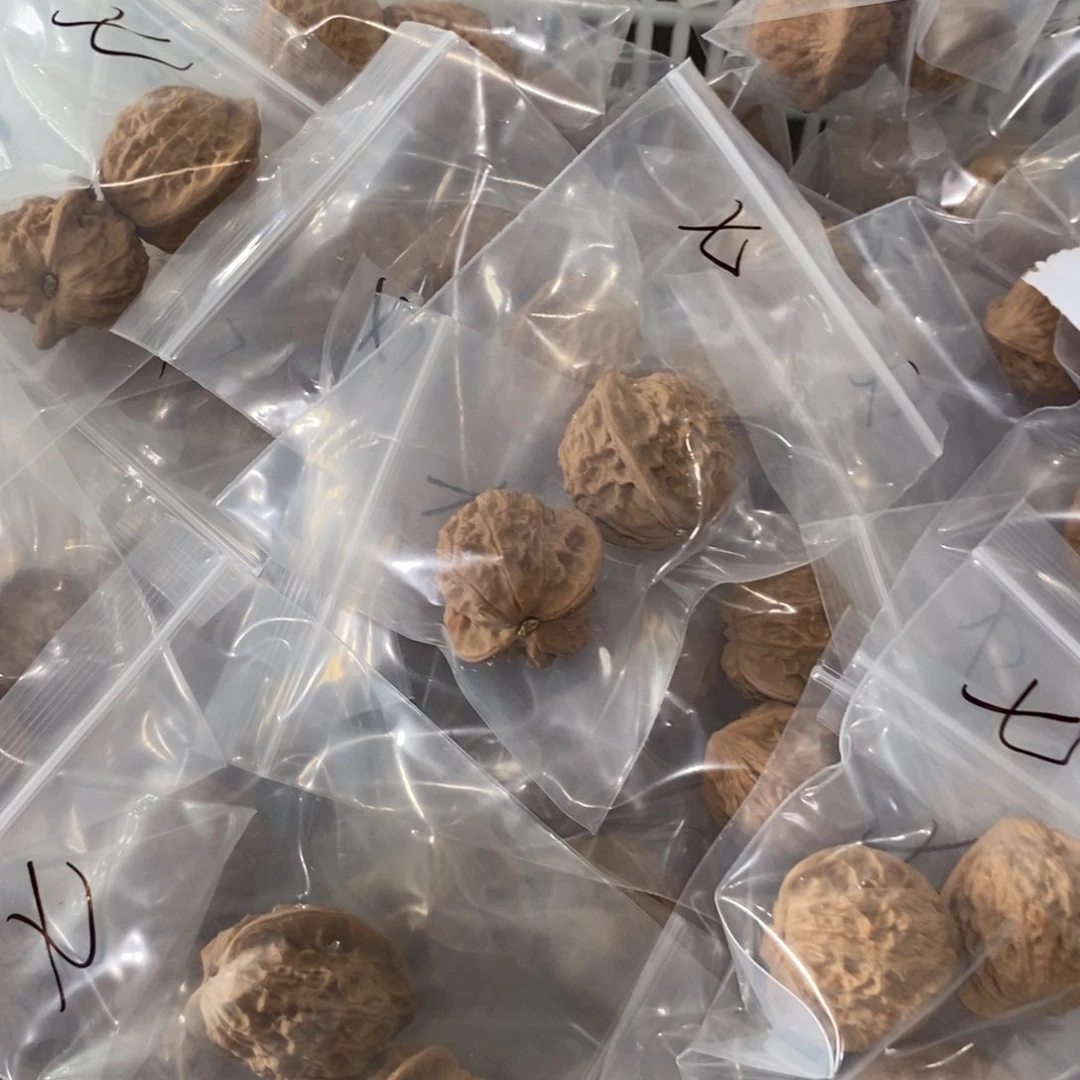 文玩核桃吊坠七步沟