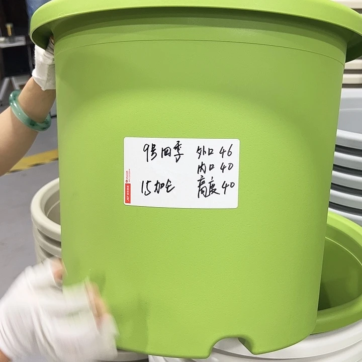 特价9号四季口46高40果绿4只无托