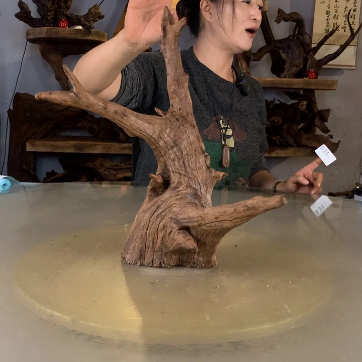 Y***”天然的云南紫柚木会黄水