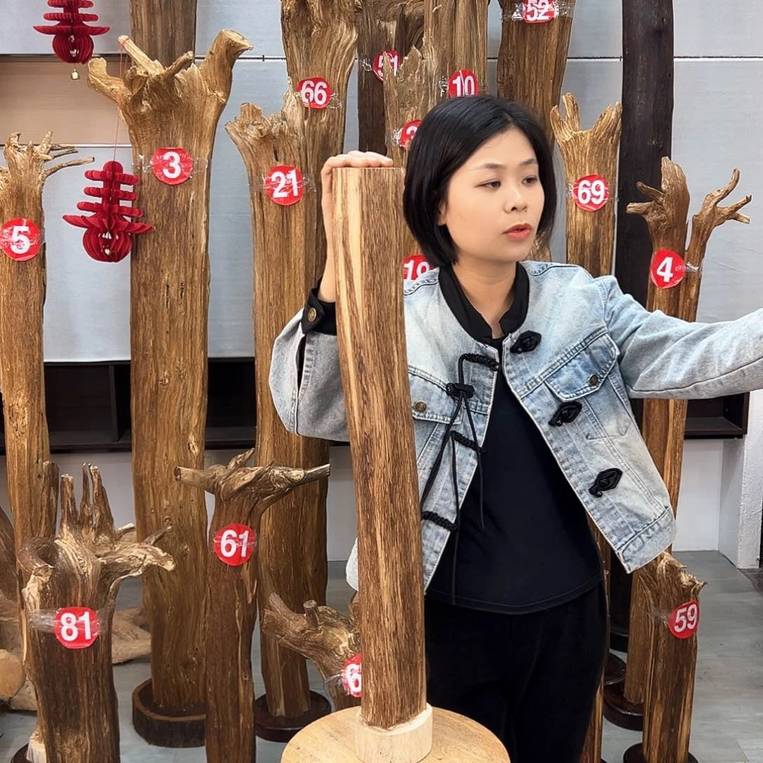 沉香摆件海南沉香摆件