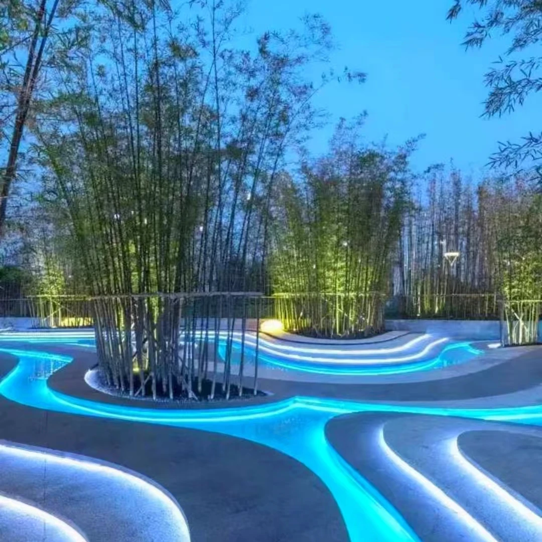 竹苗批发秒拍耐寒竹苗