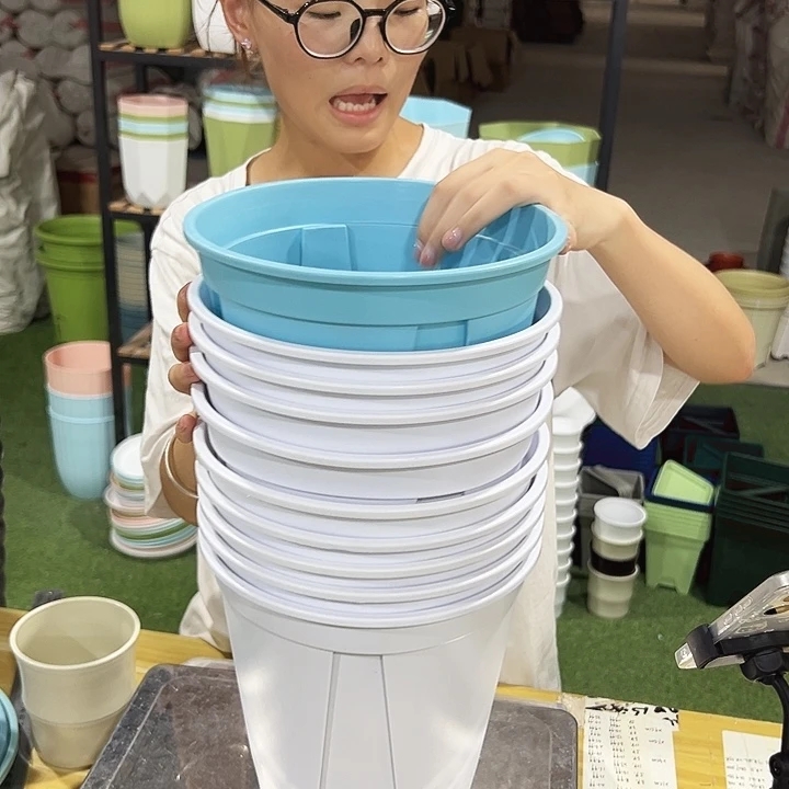 青山口21高21混色无托10只