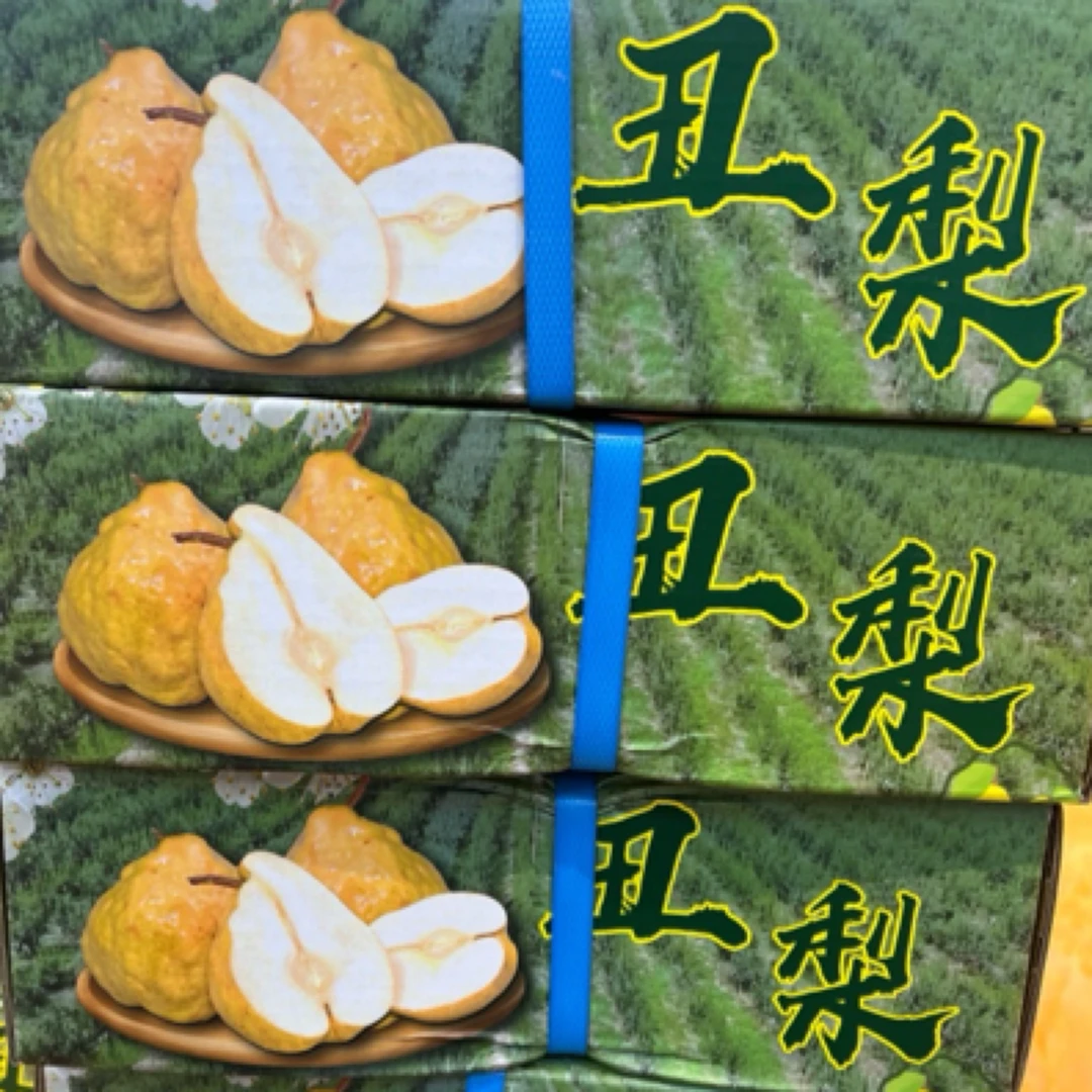 L丑梨