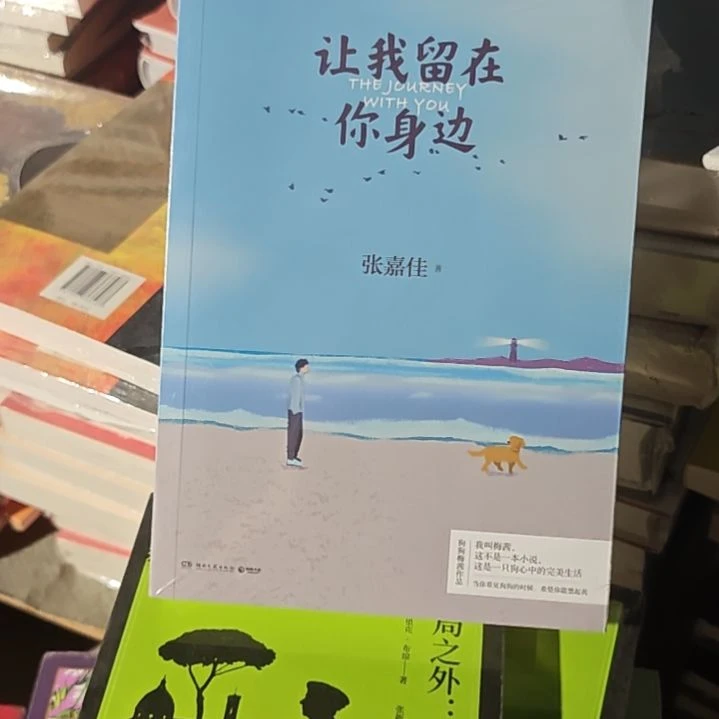 让我留在你身边平装库存书