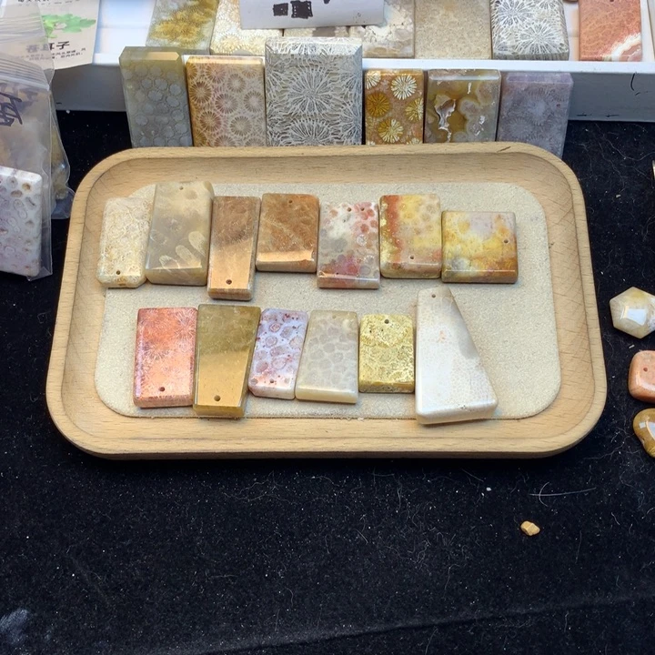 流***狗硅化珊瑚（珊瑚玉）未镶嵌颈饰