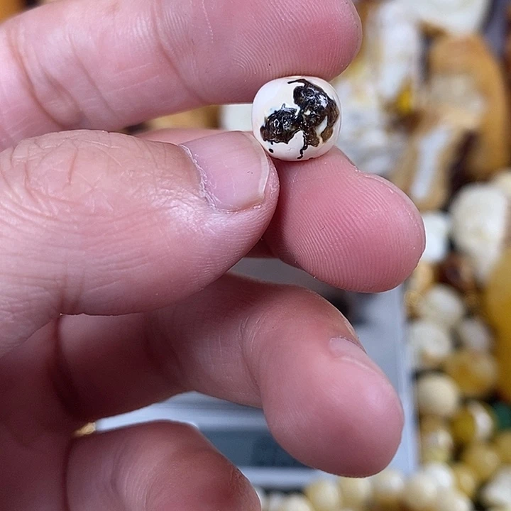 琥珀未镶嵌珠宝奇石我
