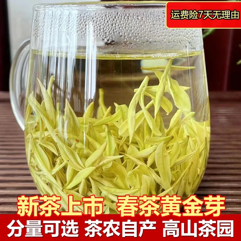 【年底清仓一斤送杯】明前黄金芽H3浙江产区新茶浓香豆香黄金芽茶叶
