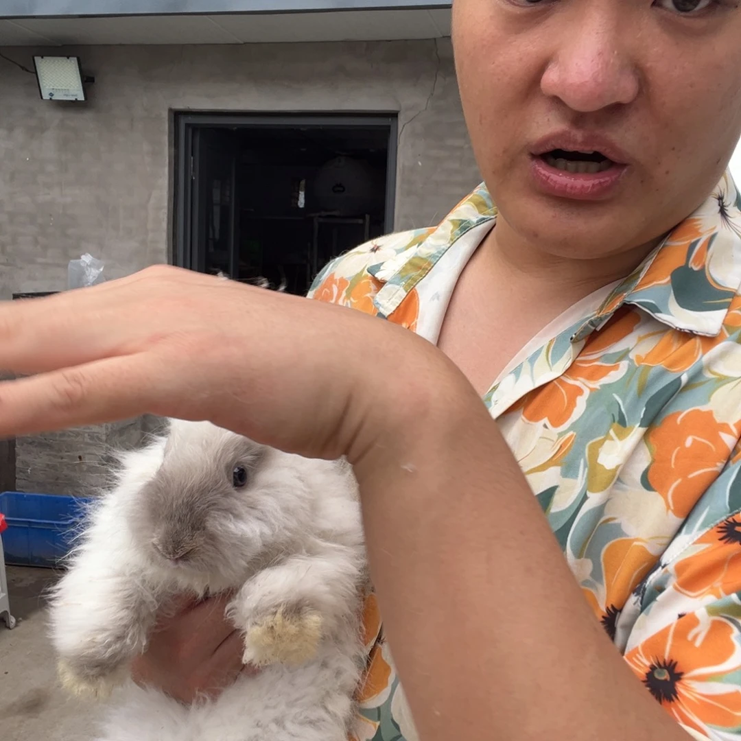 密***码1111111111111宠物