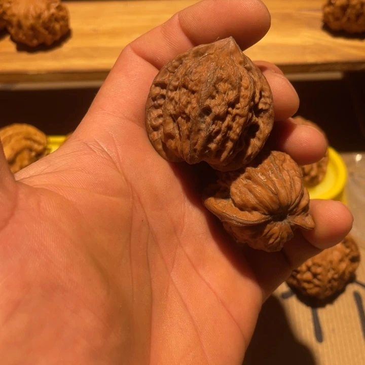 核桃40品种不详。。。。。。